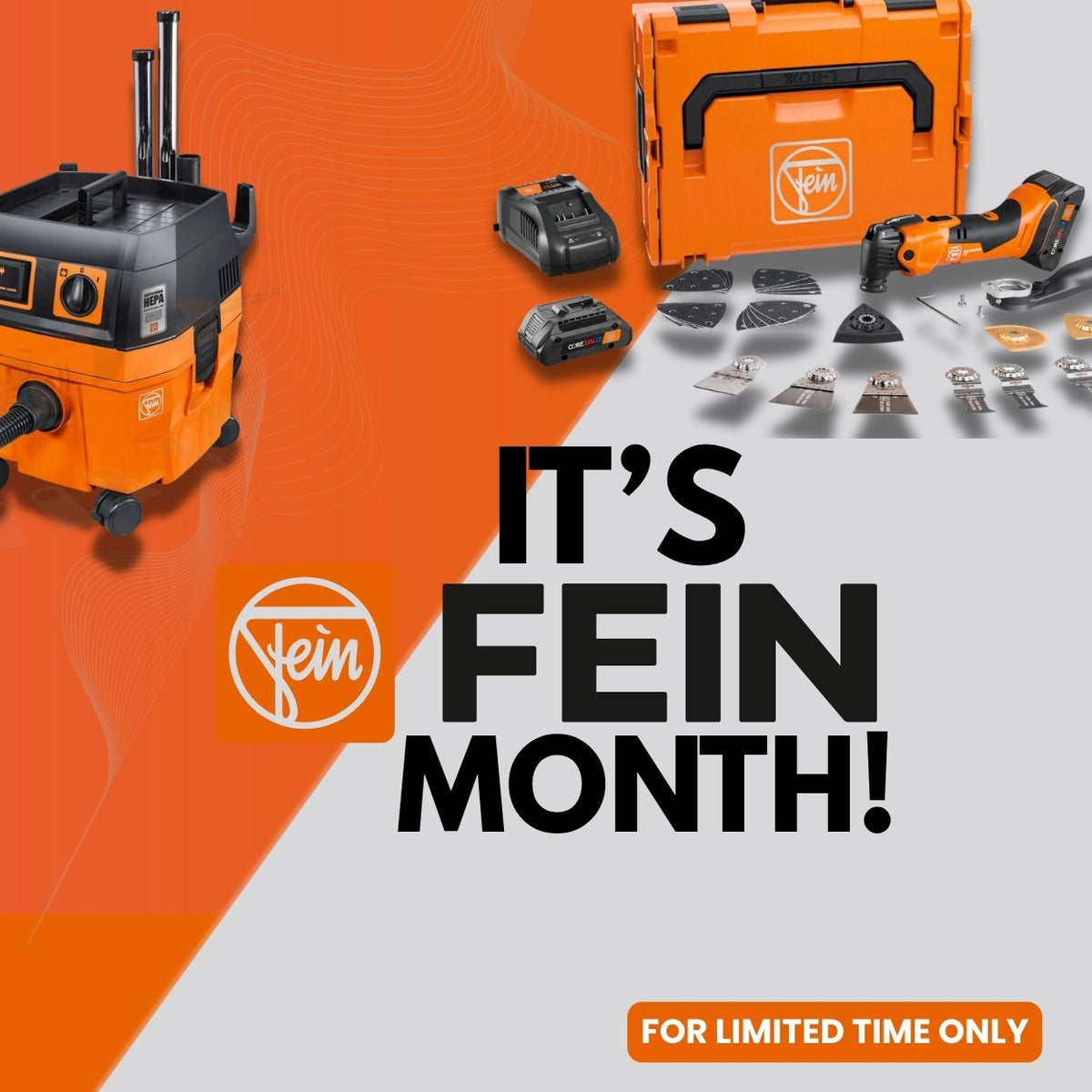 It's Fein Month!