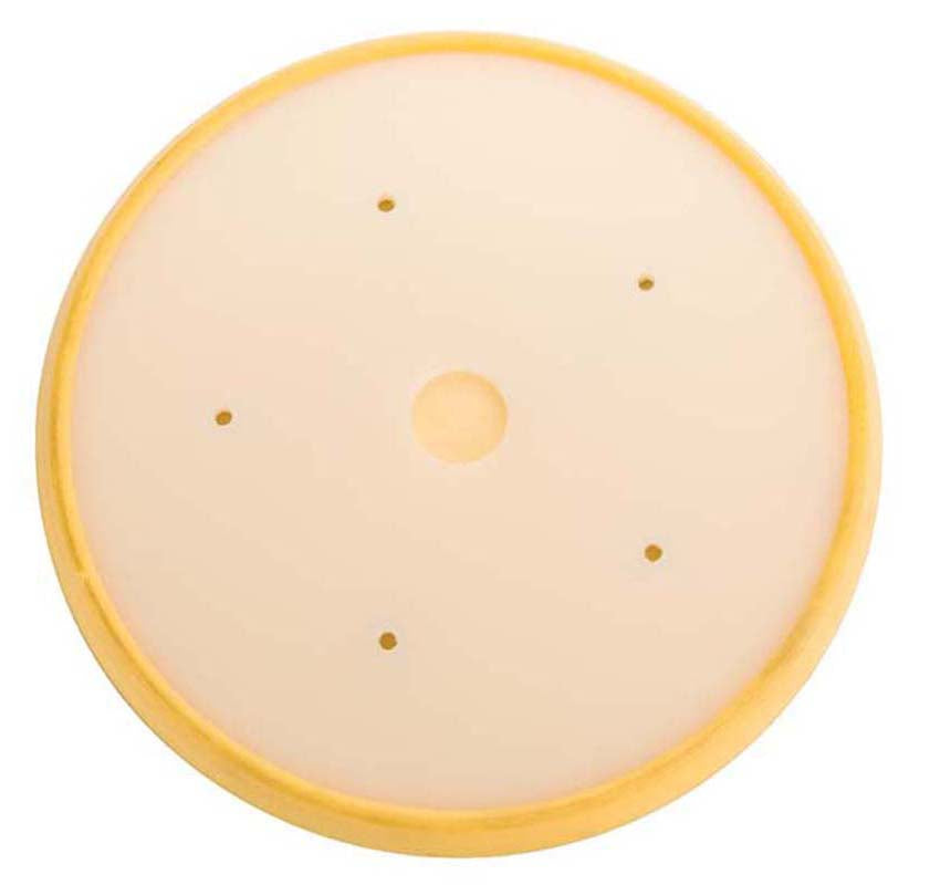 Mirka 8 in. Vinyl Faced Backup Pad Ntl. Detroit, Qty 1 108M5