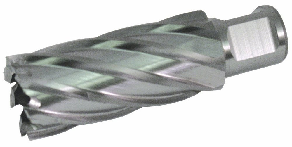 Fein 1-1/4"x3" SLUGGER HSS cutter 63134317003