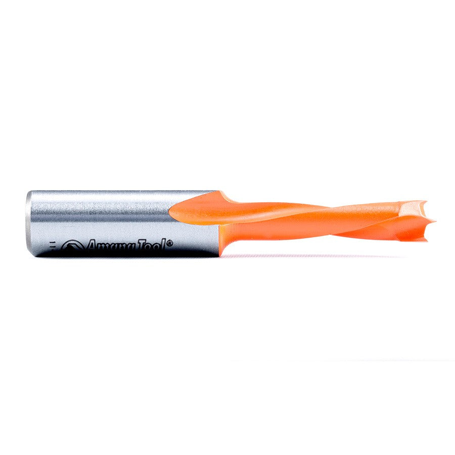 Amana Tool 6mm Brad Point L/H 57mm Long 301006