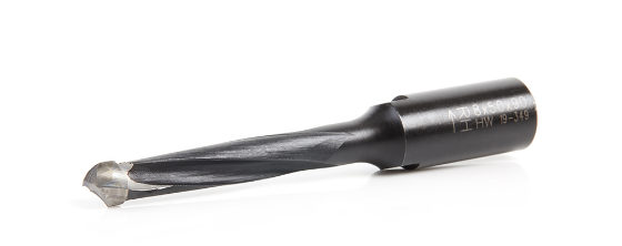 Amana Tool Carbide Bit for Domino DF500, 10mm x 28mm x 49mm 316030