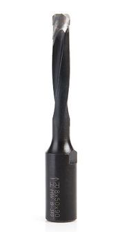 Amana Tool Carbide Bit for Domino DF500, 10mm x 28mm x 49mm 316030