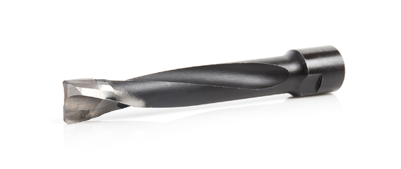 Amana Tool Carbide Bit for Domino DF700, 12mm x 70mm x 90mm 316034