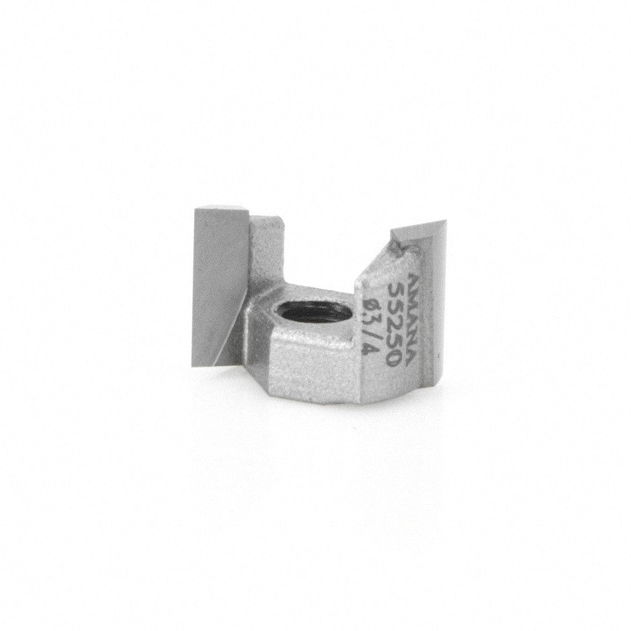 Amana Tool Mortising Screw Type 3/4 in Dia. 55250