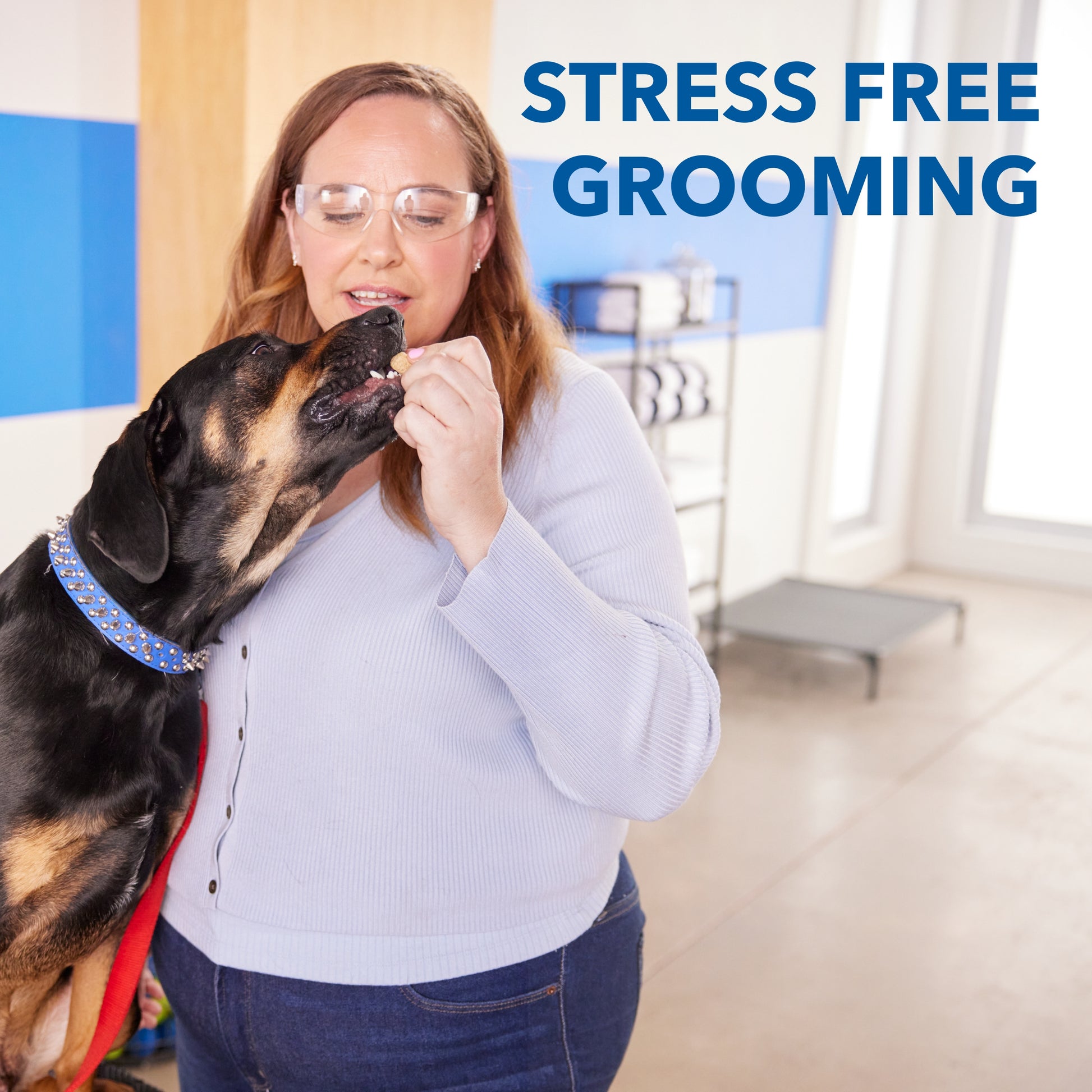 Dremel 4 Volt Cordless Pet Nail Grooming Kit 7760-PGK