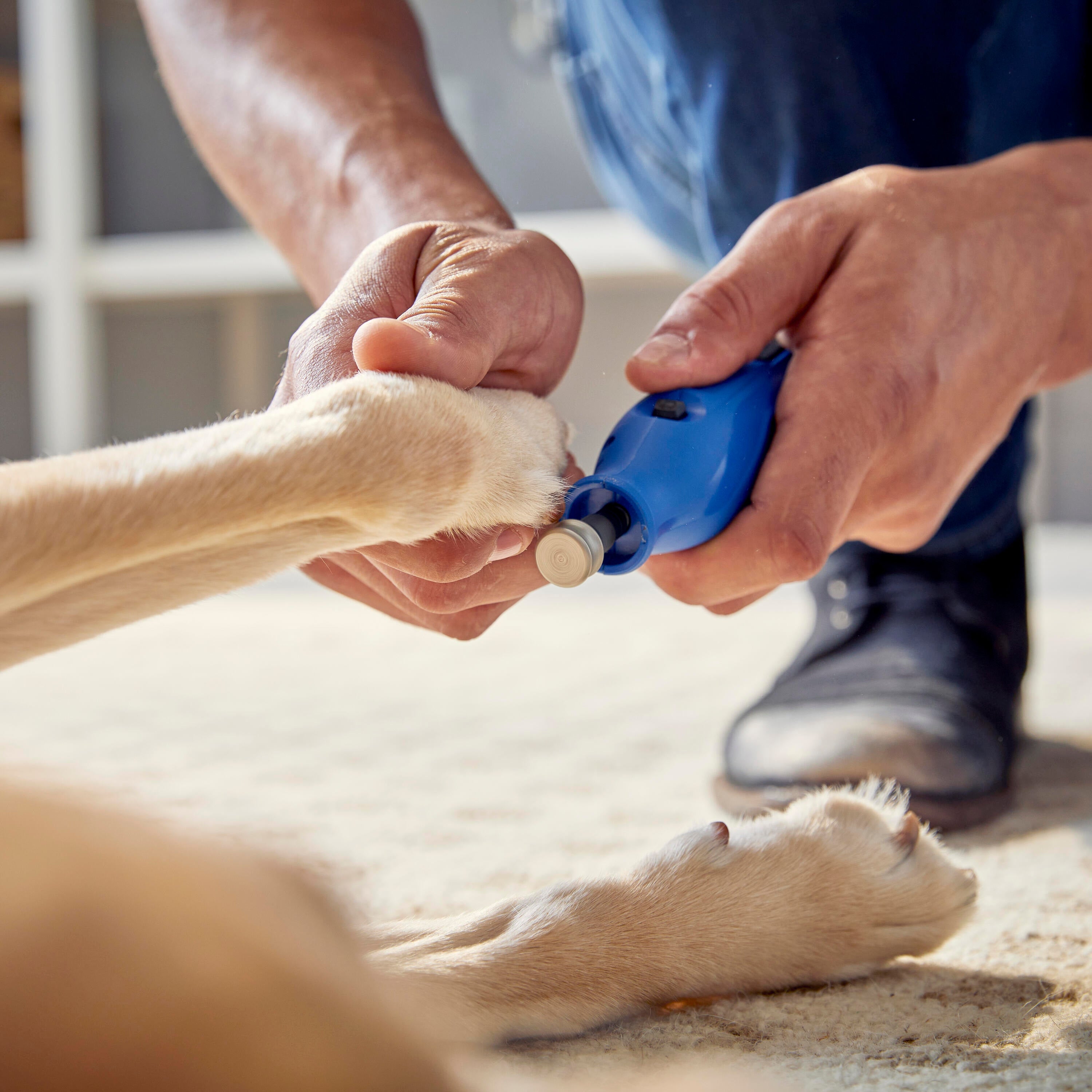 Dremel 5/8 in. Diamond Coated Dog Nails Trimmer 416HP