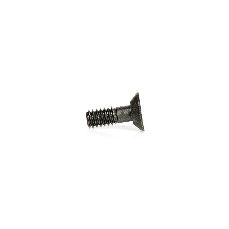 Amana Tool Screw to Hold BB (ECO TOOLS) 67011