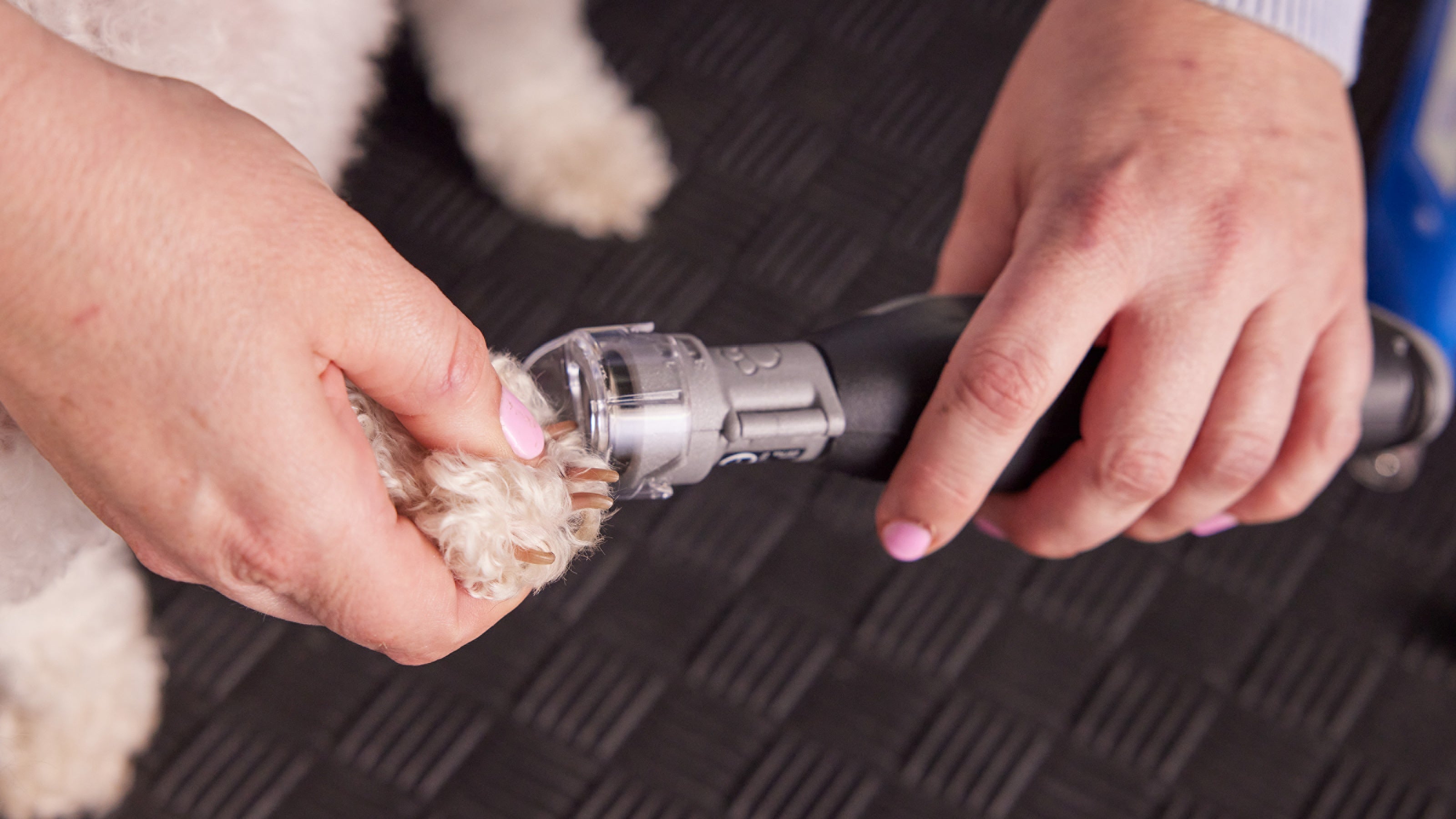 Dremel Pet Grooming Attachment Kit AT02-PGK