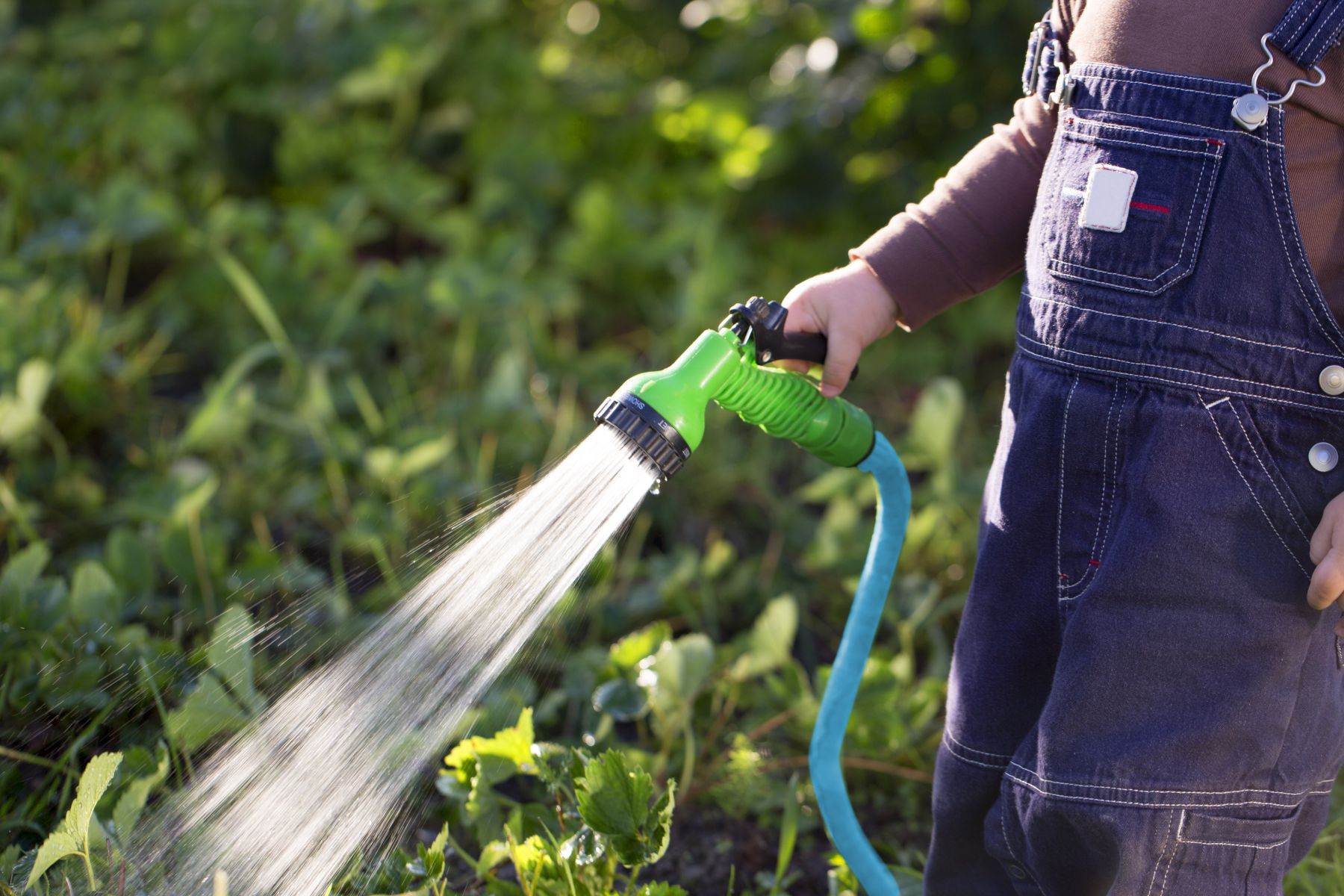 Blubird AG-Lite 3/4" X 50' Water Lead In Hose 3/4" Male and Female GHT Fittings AL3450