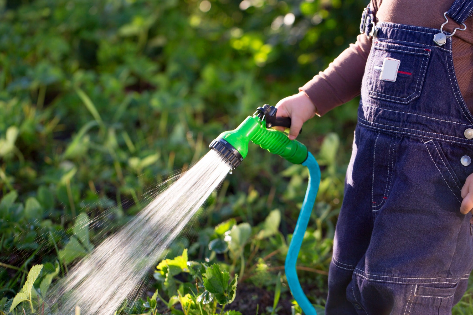 BluBird Ag-Lite 3/4 in. x 50 ft. Premium Rubber Water Hose