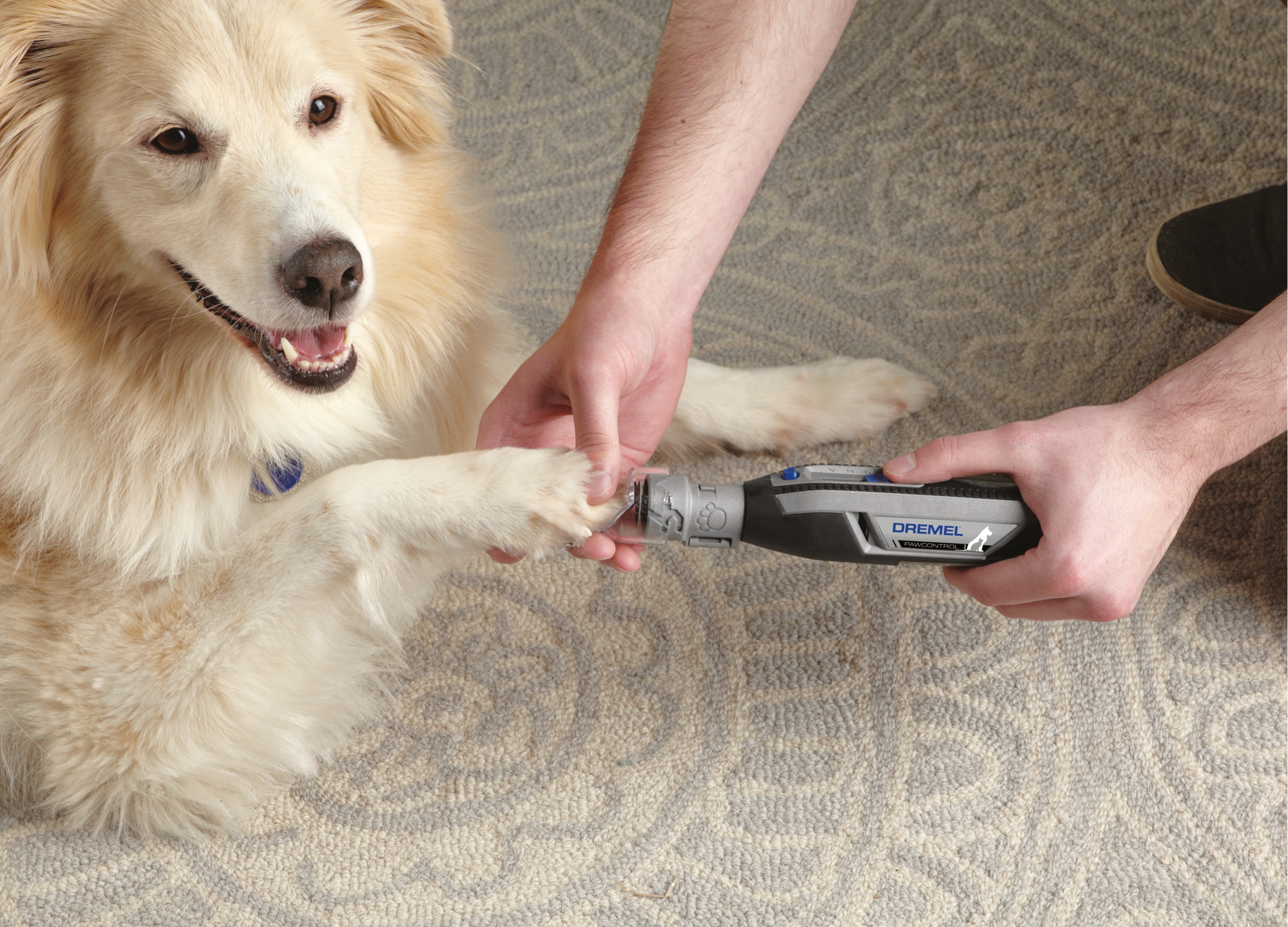 Dremel Pet Grooming Attachment Kit AT02-PGK