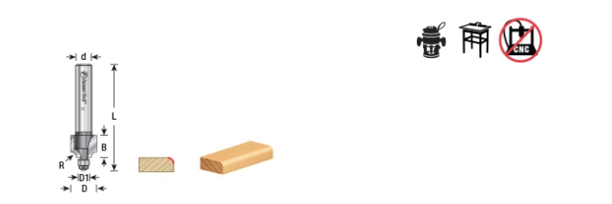Amana Tool 1/4 in R Miniature Rounding Over MRR112
