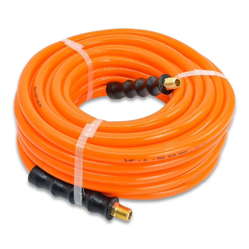 Blubird Avagard 3/8" X 50' PVC Air Hose Assembly 3/8" Male-NPT PV3850