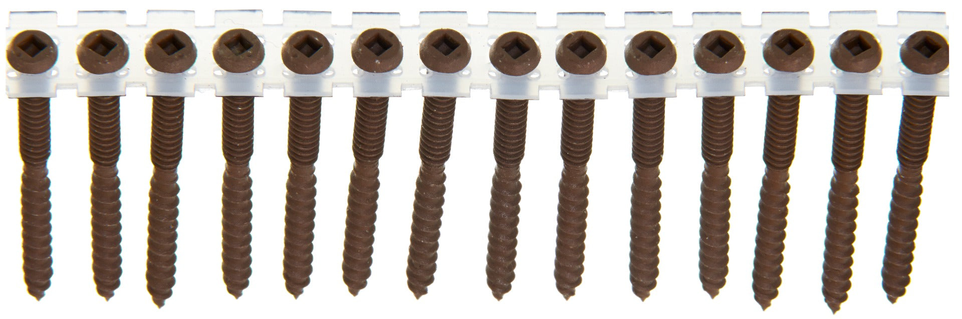 Senco no.8x 2 1/2in cup head no.2 DuraSpin Composite Decking Screws 08S250W497