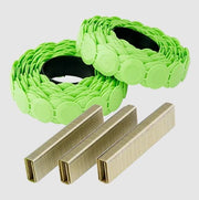 Senco 5/8" 18 Ga. 3/8" Crown Staple 2000-Pack CS10BAA