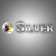 SILVER Accessory Package - Dust Kit, Gauge, Saw Blade, Stand, Wheels
