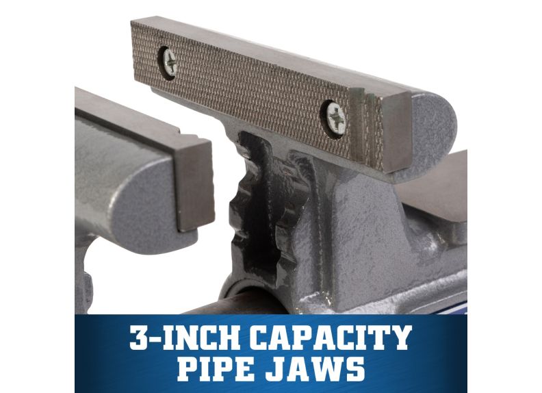 Wilton 6" Apprentice Bench Vise WVA6 WL1-109